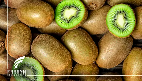 حمل یخچالی دریایی کیوی
