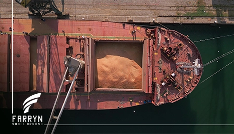 Bulk Carrier