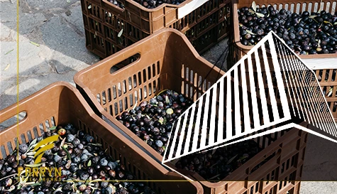 Refrigerated container for raisins