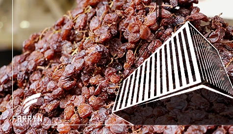 Iran’s raisin exports