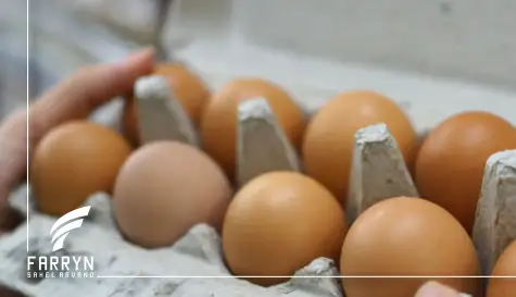 Egg Importing