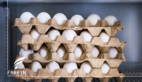Key Points in Egg import from Iran