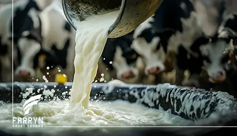 Dairy Exports
