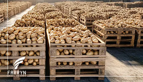 Potato imports