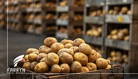 Potato importation