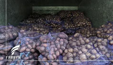 Potato importation