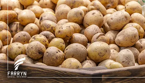 Import of potatoes