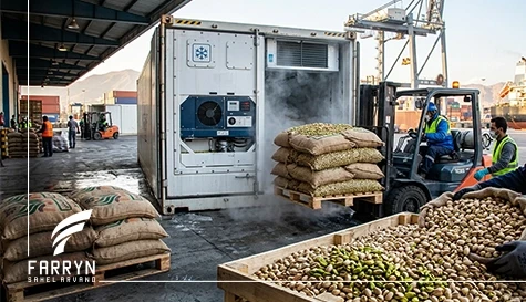 Pistachio Export