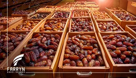 صادرات خرما به عربستان